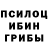Галлюциногенные грибы Magic Shrooms Arzayim Tokhtabaema